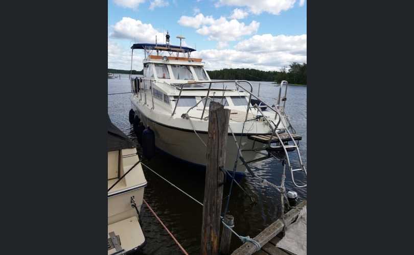 Coronet Muu malli-kuva-6